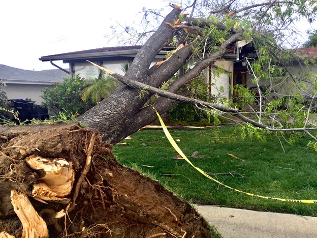 tree fallen on house after storm damage